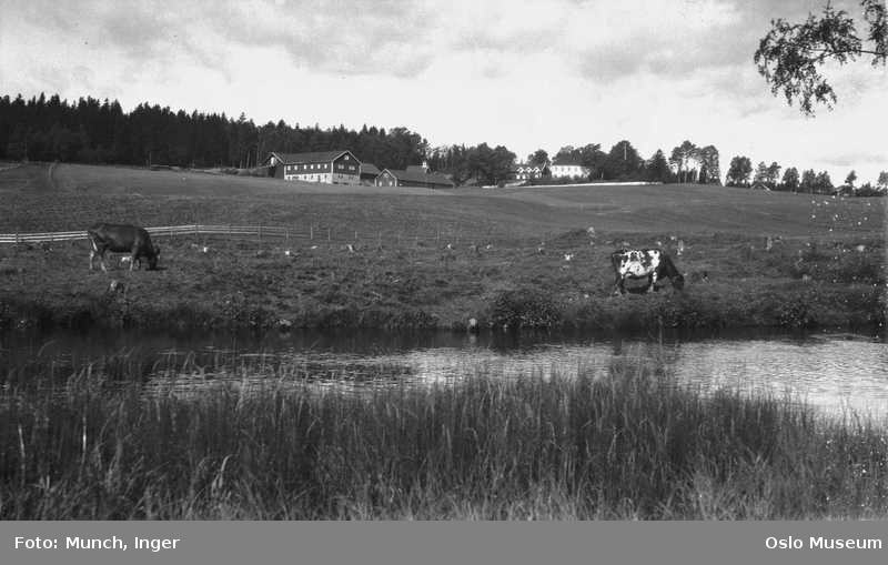 Ved Brekke gård i 1932 (Foto: Inger Munch)