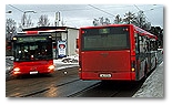 Busser på Disen (bildet er gjengitt med tillatelse fra www.bytrafikk.no)