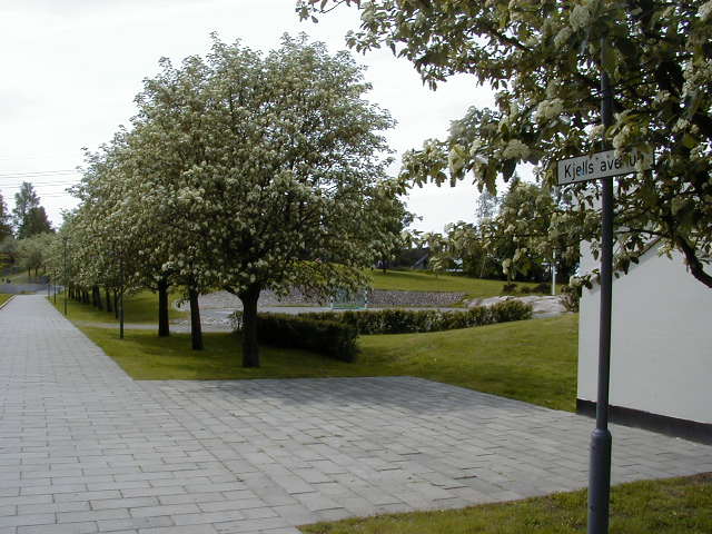 Kjells avenue